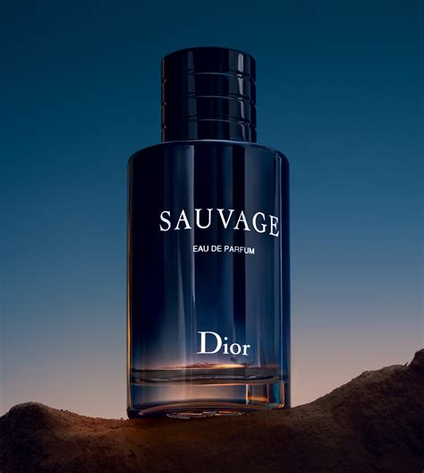 eyfel parfüm dior sauvage|dior eau de parfum.